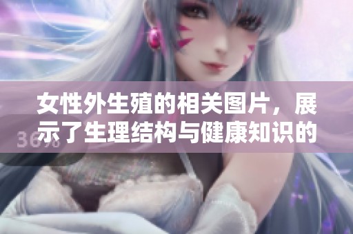 女性外生殖的相关图片，展示了生理结构与健康知识的重要性