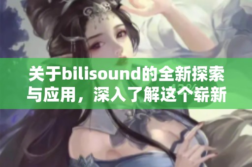 关于bilisound的全新探索与应用，深入了解这个崭新而富有潜力的领域