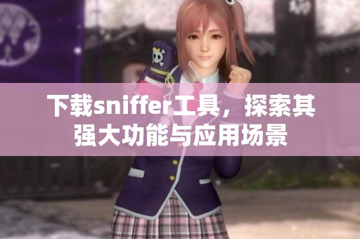 下载sniffer工具，探索其强大功能与应用场景