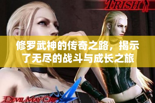 修罗武神的传奇之路，揭示了无尽的战斗与成长之旅