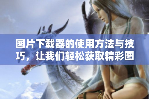 图片下载器的使用方法与技巧，让我们轻松获取精彩图片