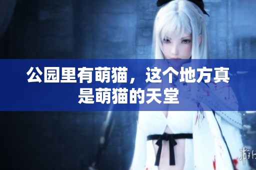 公园里有萌猫，这个地方真是萌猫的天堂
