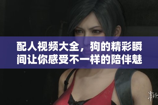 配人视频大全，狗的精彩瞬间让你感受不一样的陪伴魅力