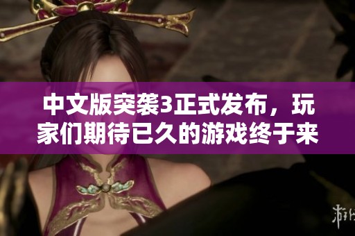 中文版突袭3正式发布，玩家们期待已久的游戏终于来临！