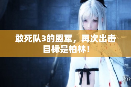 敢死队3的盟军，再次出击目标是柏林！