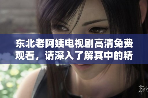 东北老阿姨电视剧高清免费观看，请深入了解其中的精彩剧情与角色发展