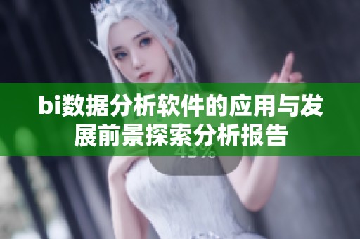 bi数据分析软件的应用与发展前景探索分析报告