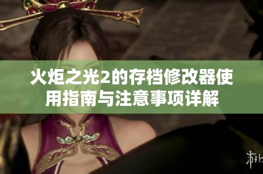 火炬之光2的存档修改器使用指南与注意事项详解