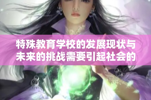 特殊教育学校的发展现状与未来的挑战需要引起社会的广泛关注