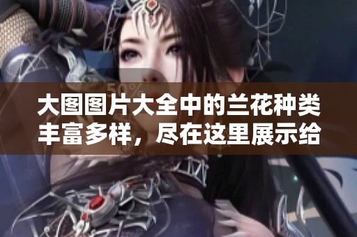 大图图片大全中的兰花种类丰富多样，尽在这里展示给您欣赏！