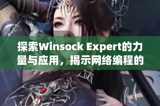 探索Winsock Expert的力量与应用，揭示网络编程的深层秘密与技巧