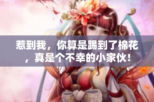 惹到我，你算是踢到了棉花，真是个不幸的小家伙！