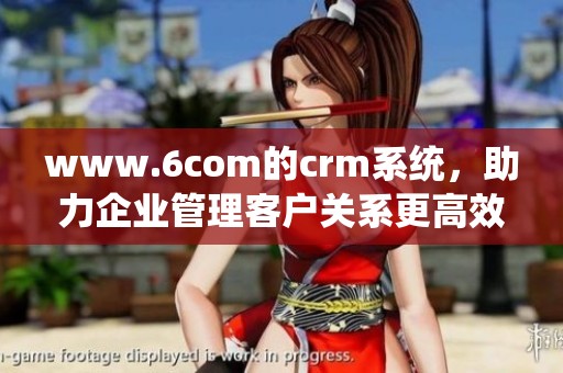 www.6com的crm系统，助力企业管理客户关系更高效