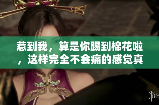 惹到我，算是你踢到棉花啦，这样完全不会痛的感觉真是奇妙