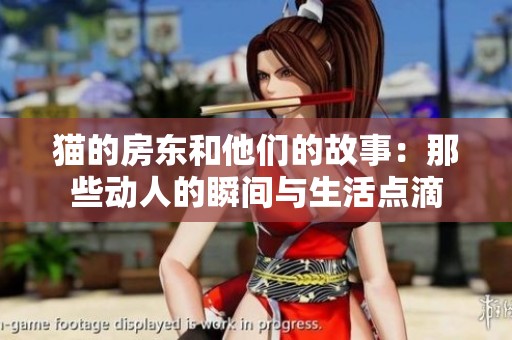 猫的房东和他们的故事：那些动人的瞬间与生活点滴