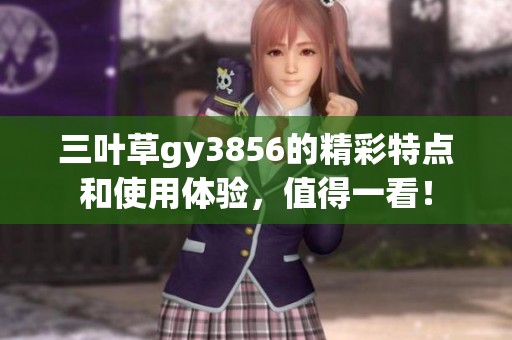 三叶草gy3856的精彩特点和使用体验，值得一看！