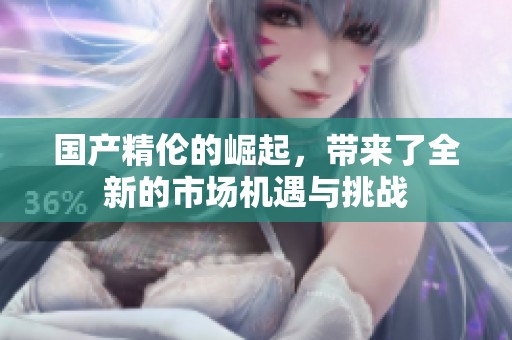 国产精伦的崛起，带来了全新的市场机遇与挑战