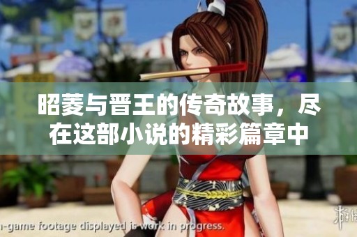昭菱与晋王的传奇故事，尽在这部小说的精彩篇章中